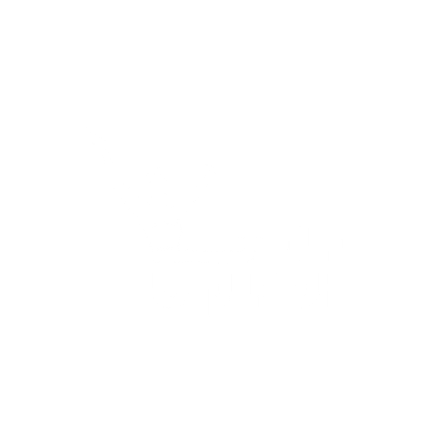 לוגו חדש