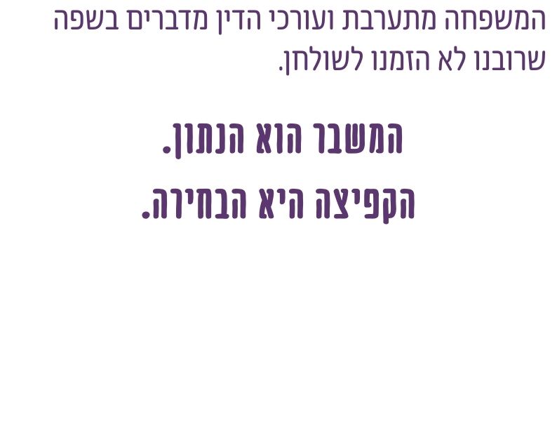 עמוד 8