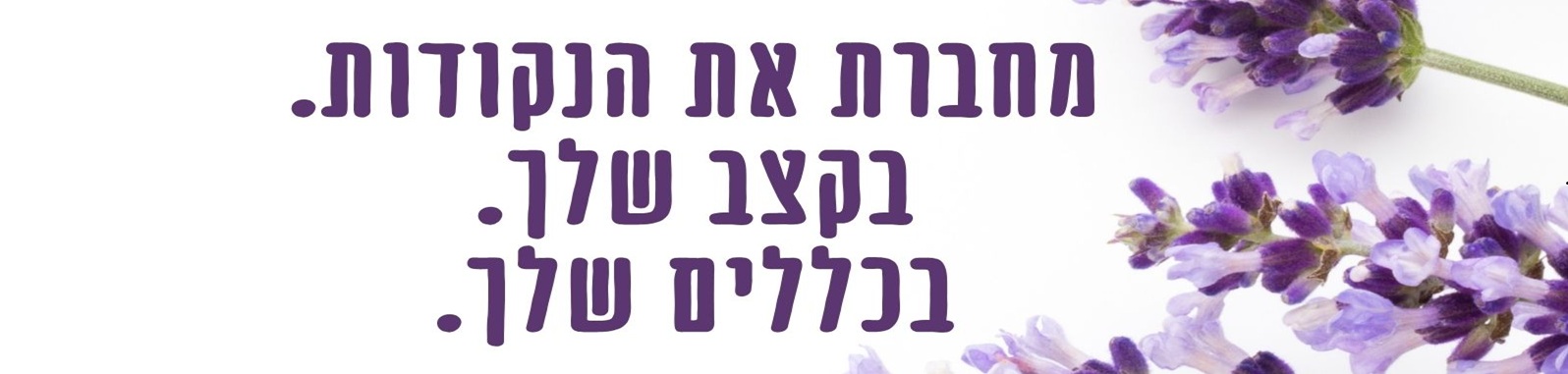 כותרת האתר